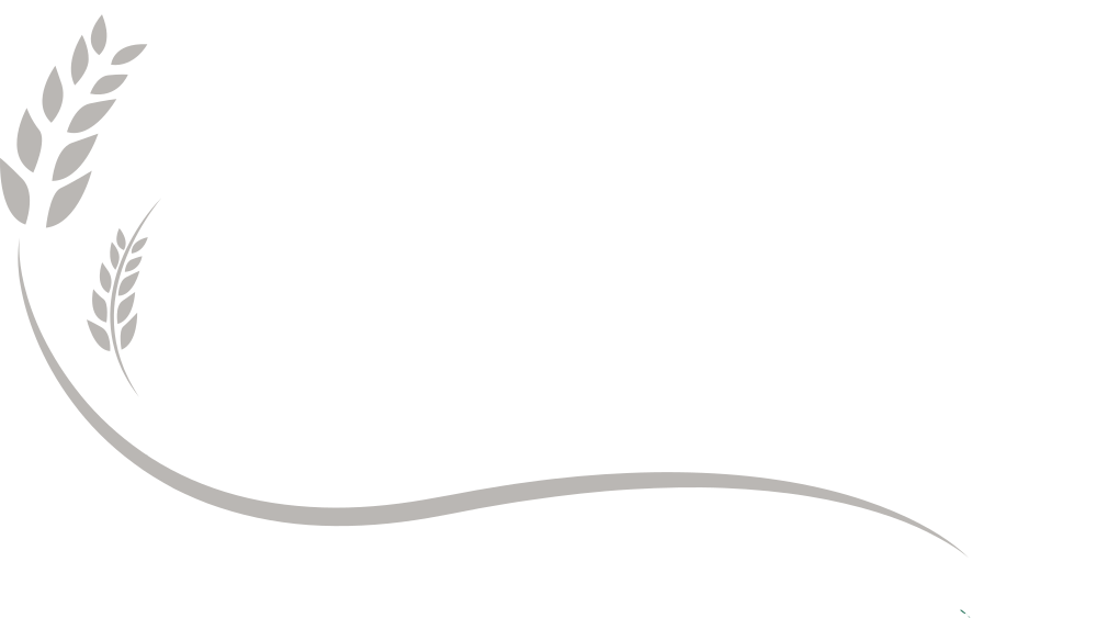 Cultura Connect Exclusive