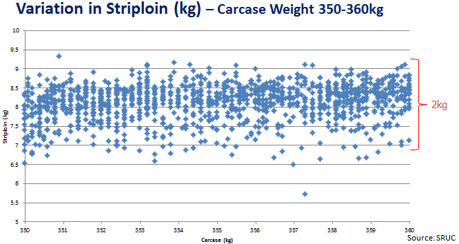Figure 3: Variation in Striploin (kg) – Carcase Weight 350–360kg
