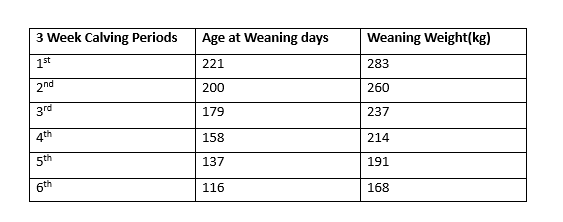 Table 2: The effect of calving date on weaning weight.