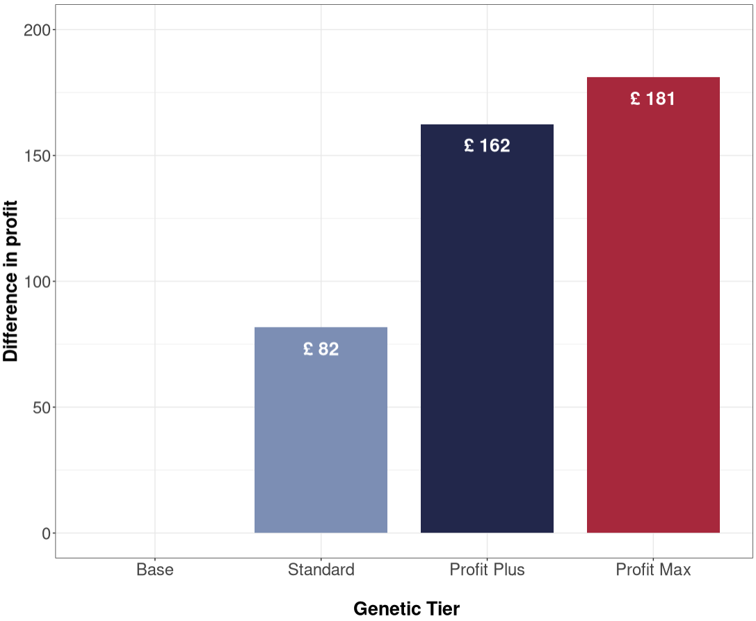 Figure 1 . The difference in average progeny profit realised for sires in each genetic tier (Profit Max, Profit Plus, and Standard), in comparison to the Base genetic tier.