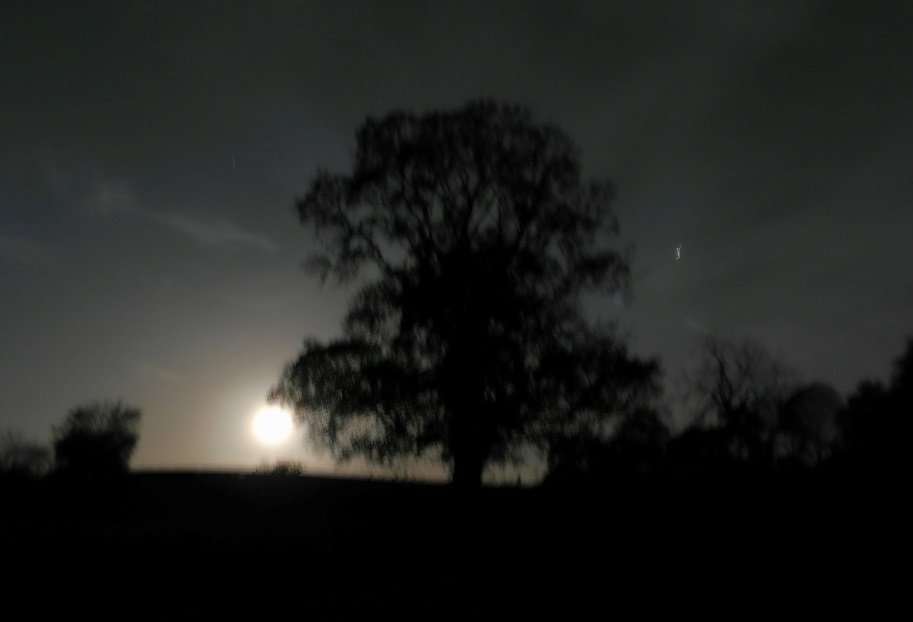 moonrise