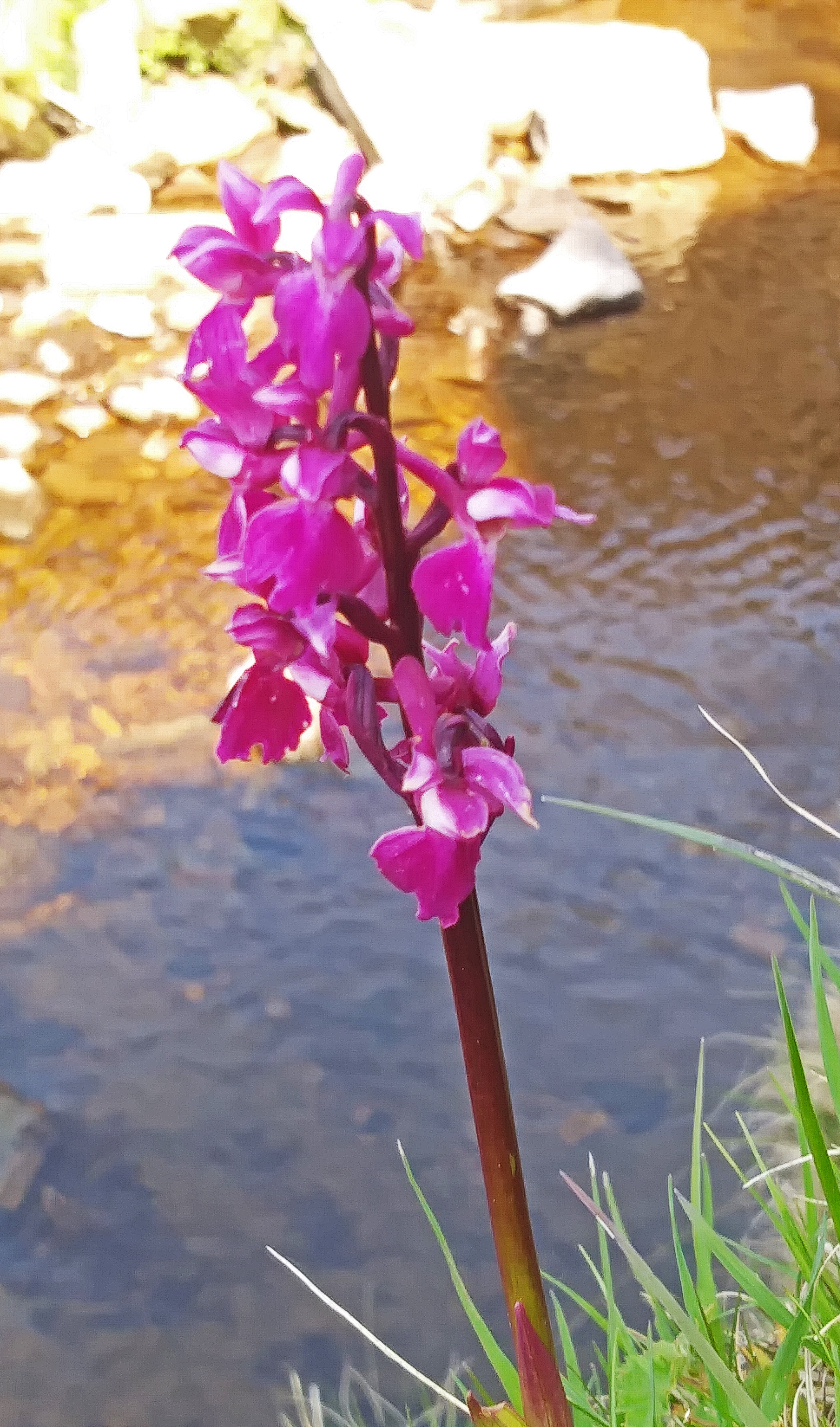 Image: 20190515_105632