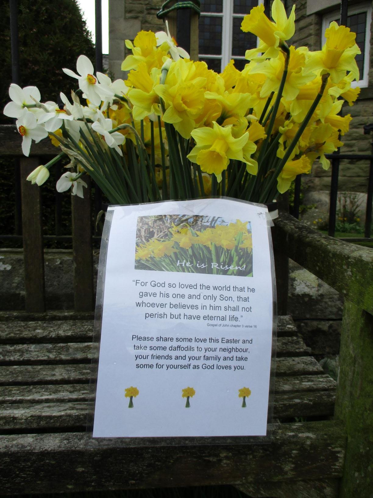 Daffodils outside church
