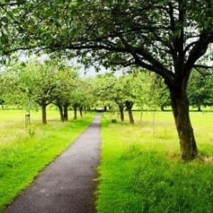 Spring Path