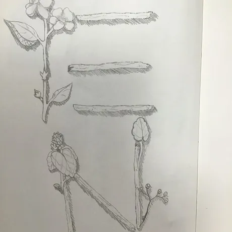 Art work