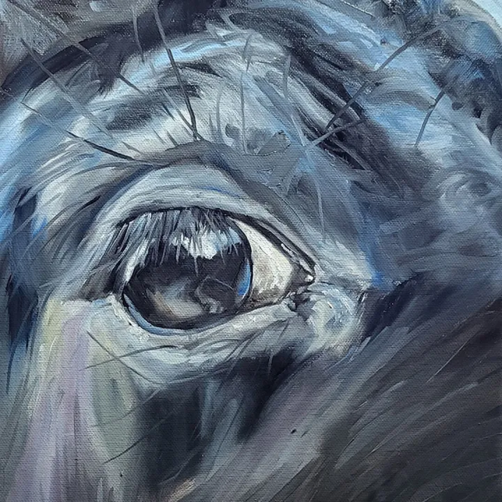 Gallery_page_equine11