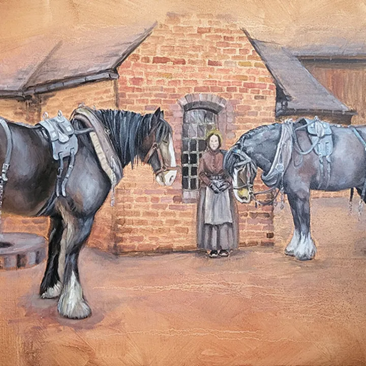 Gallery_page_equine