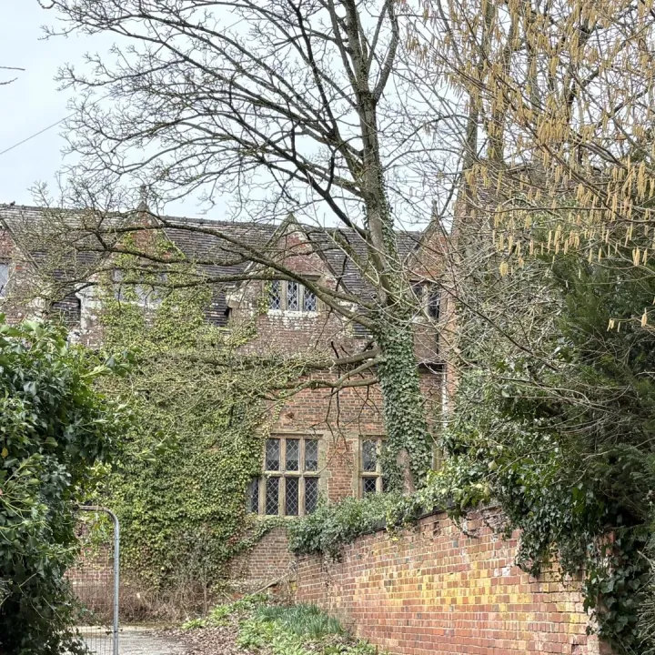 Image2