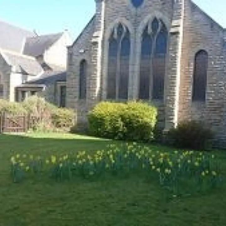 Daffodile Cross in Grass