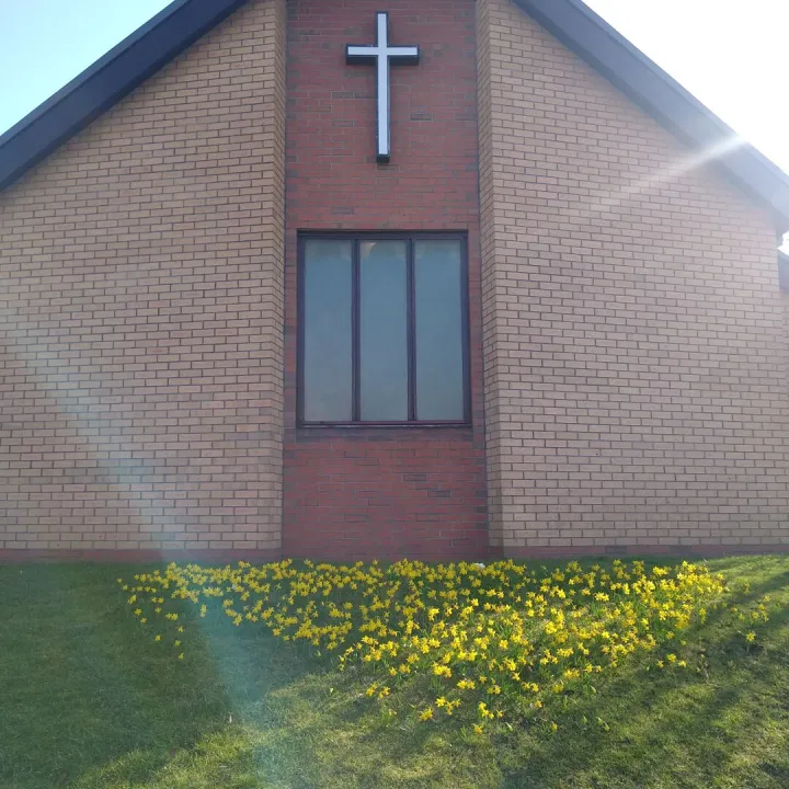 Milton – Daffodils