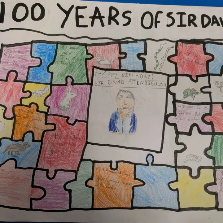 1000017492