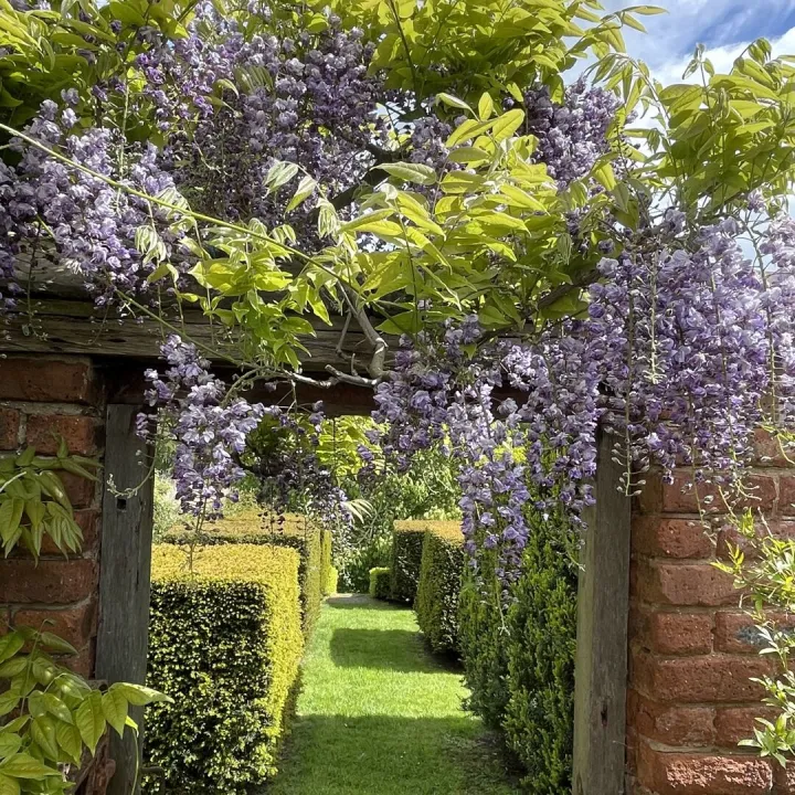 Img_7871