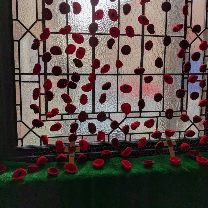 Poppies