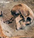 Skeleton_stock Image