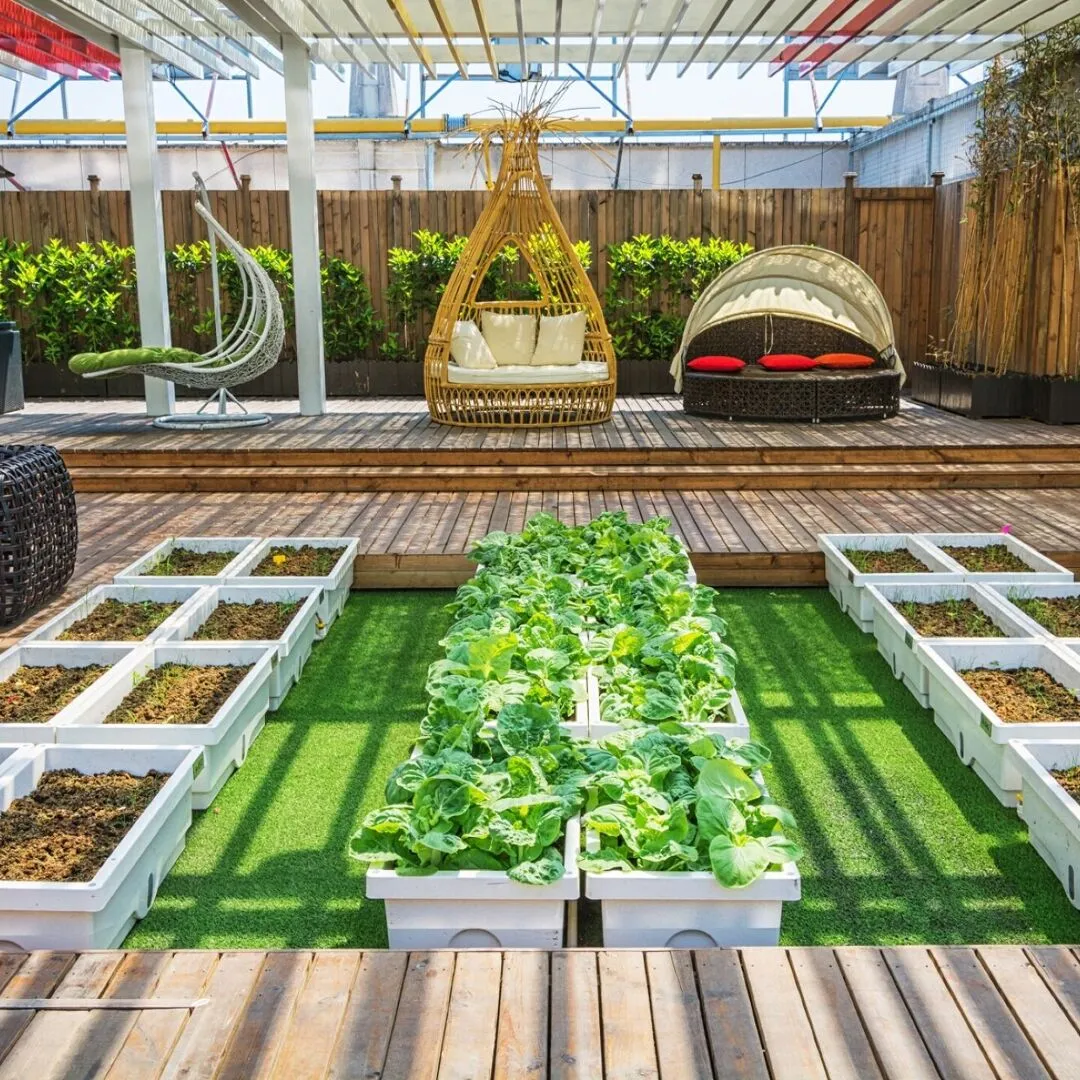 A covered lifestyle garden with indoor and outdoor living
