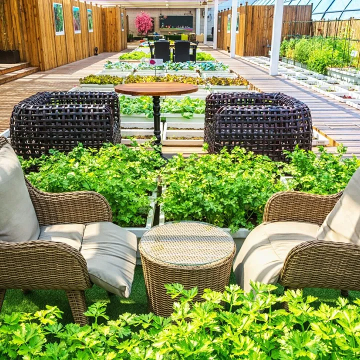 Glazed garden room with wicker seating surrounded by planting