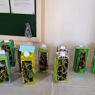 Blandford Bug Hotels Photo 2