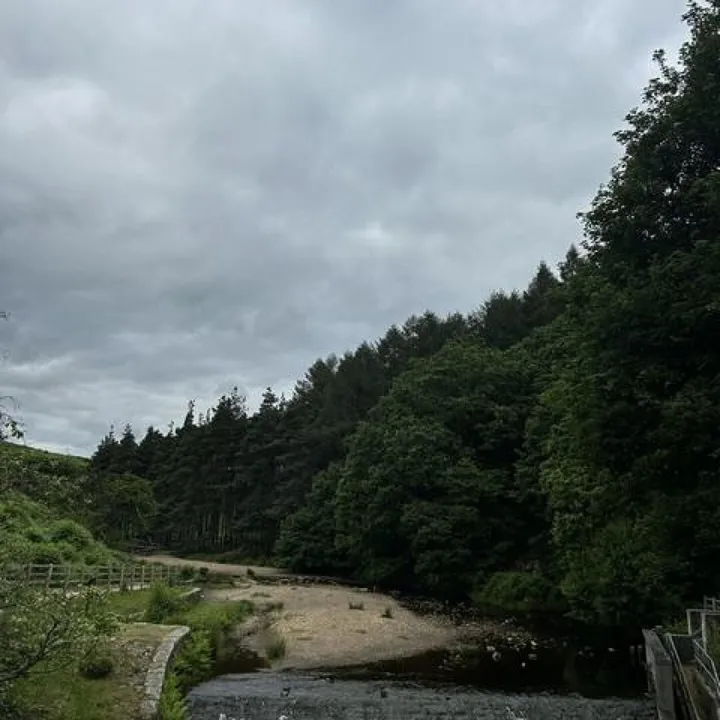 Langsett 4