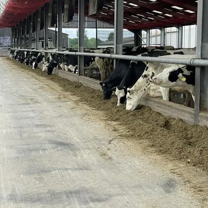 Farm2