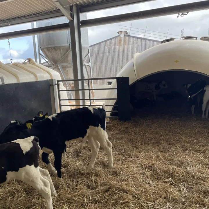 Farm 7
