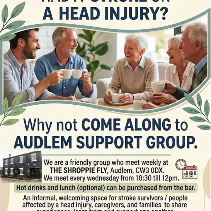 Firefly_gemini Flash_poster Audlem Support Group H