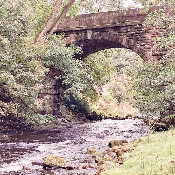 The stone bridge over the River Dane