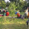 Community Orchard Picnic