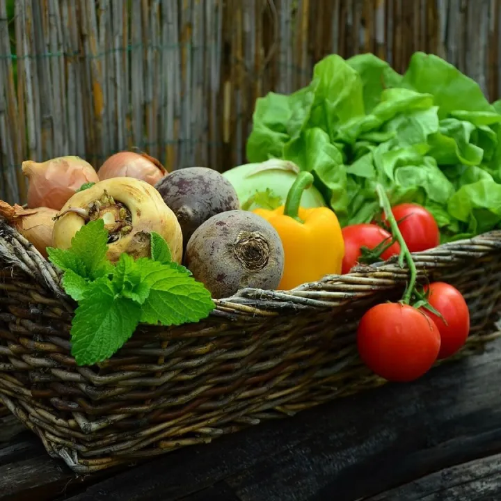 Vegetables, basket, vegetable basket, harvest