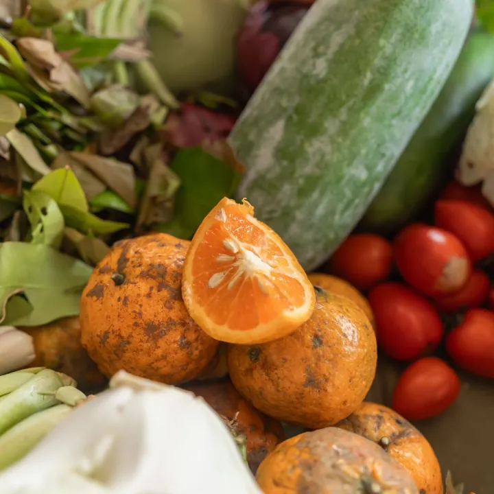 Colorful assortment of fresh organic vegetables