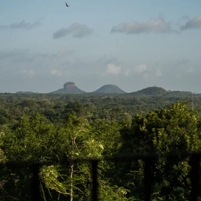 Sigiriya Rock Fortress on the horizon seen from Peacock Hill Sigiriya