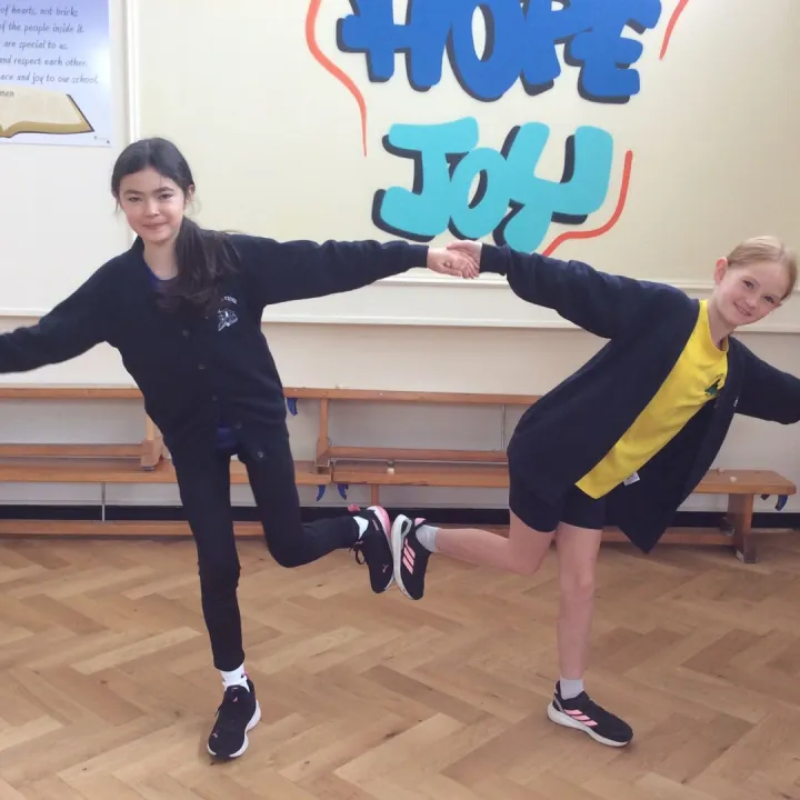PE – gymnastics