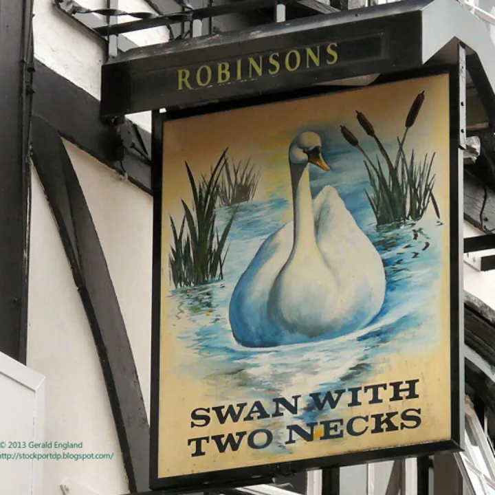 Swan with two necks