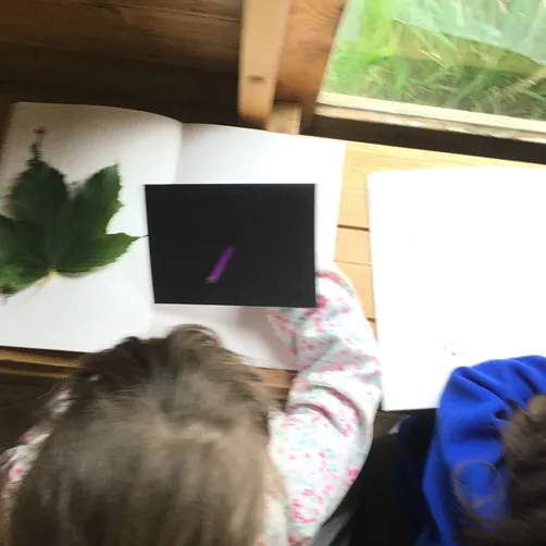 Art 3