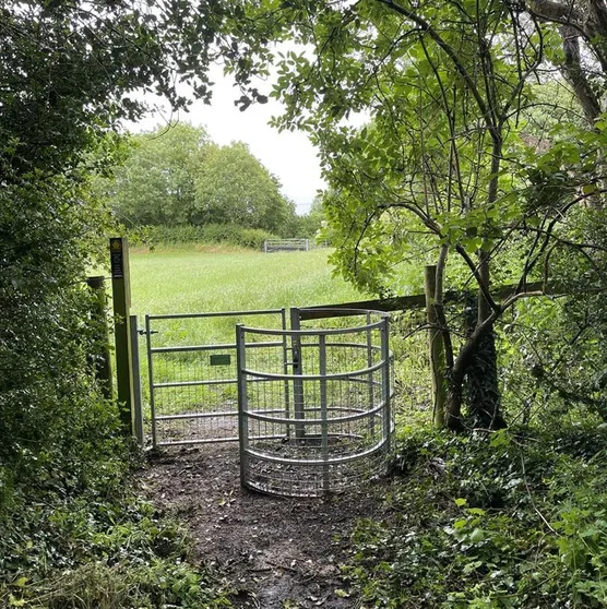 Metal kissing gate at the edge of a grassy field, framed by overhanging trees