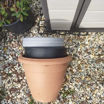 Free Pots &ndash; Items free to a good home!