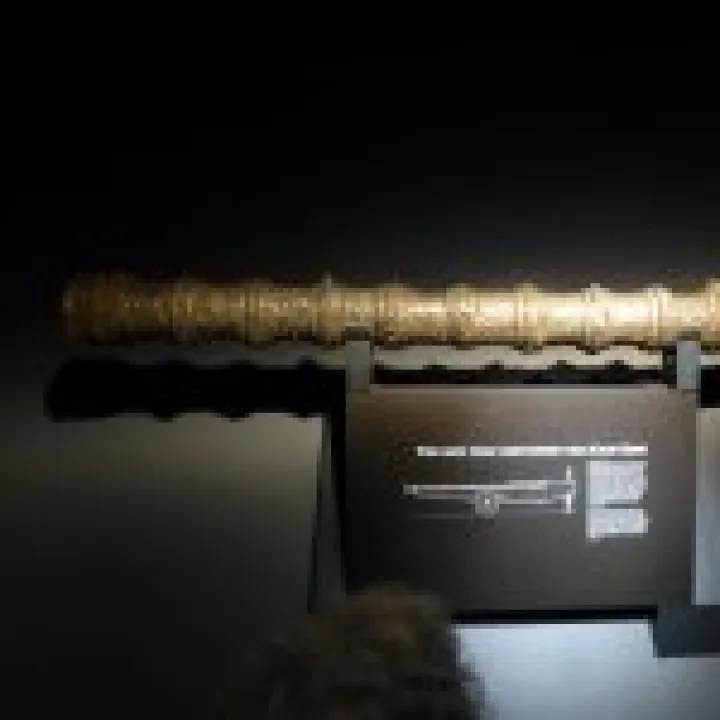 Mary Rose gun