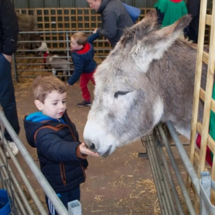 Petting Zoo 02