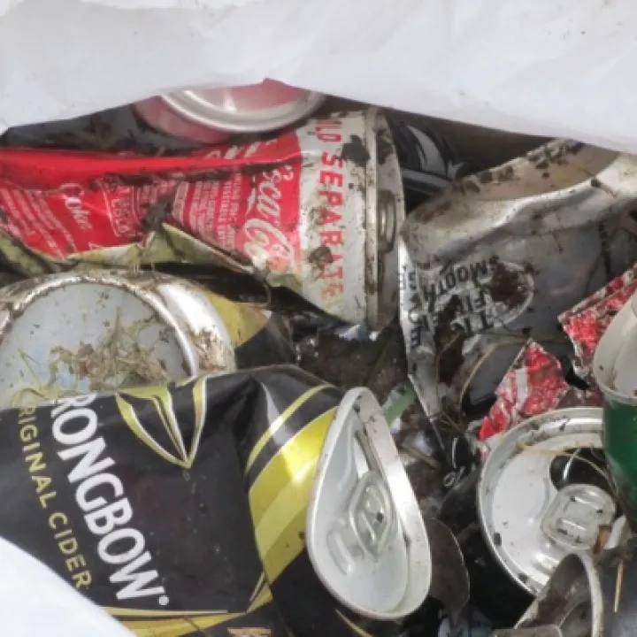 Litter1 (1)