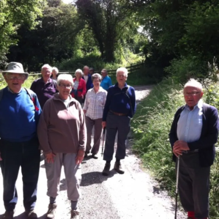 June Walk