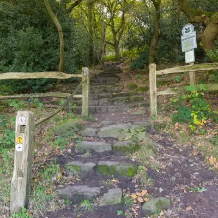 Sandstone Ridge Entrance to Bulkeley Hill Woods 1