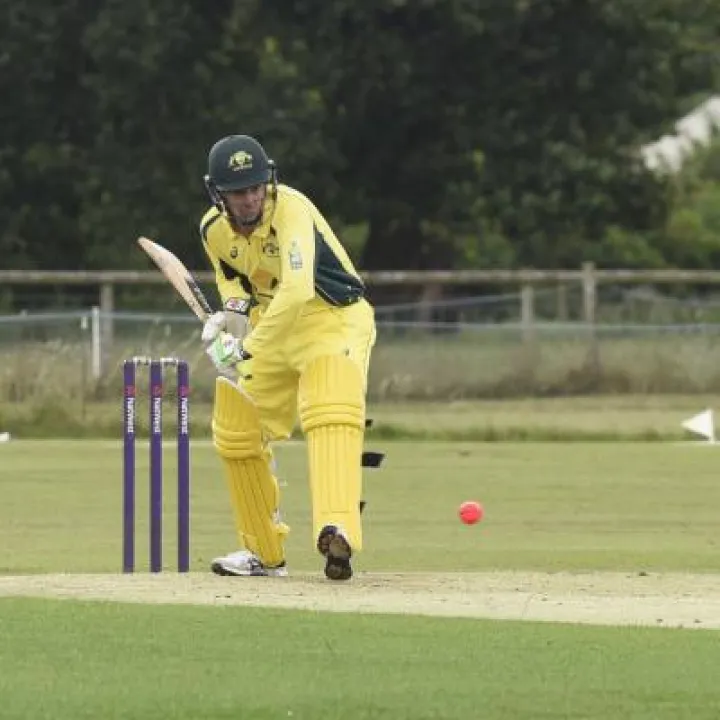 Cricket 1 Web Format