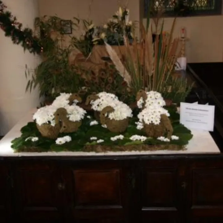 flower show11