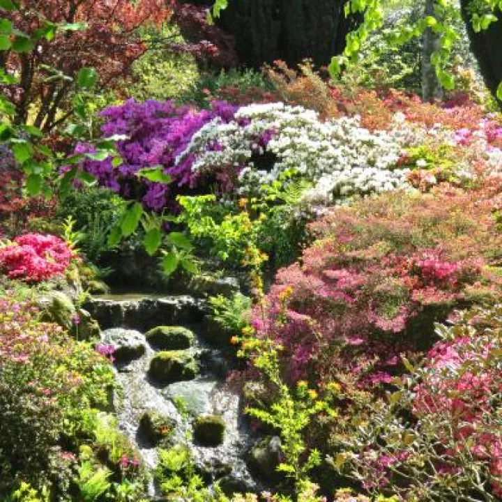 Bodnant gardens