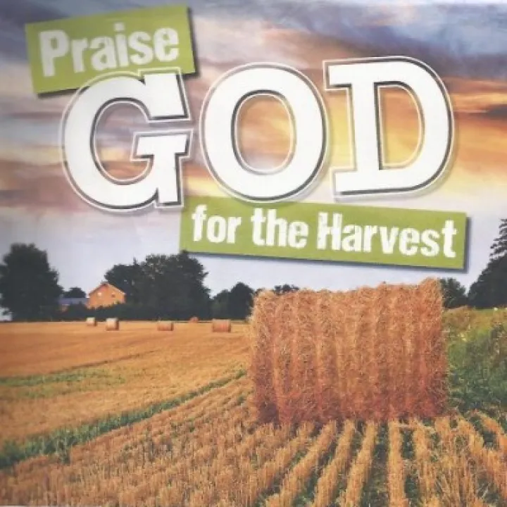 Harvest 2019