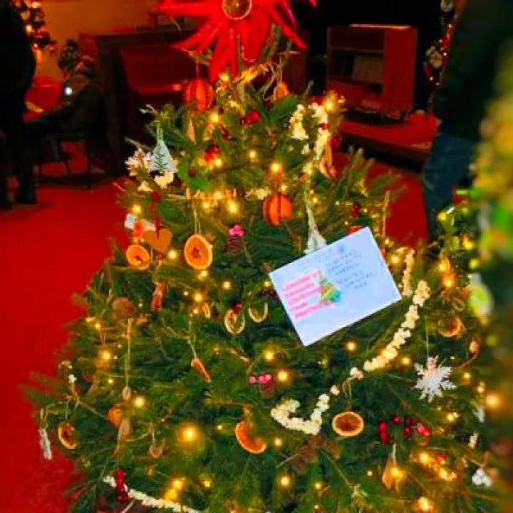 Xmas Tree 2019 01