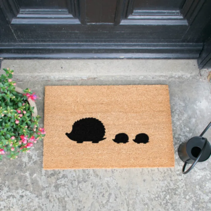 Image: 11 doormat 3