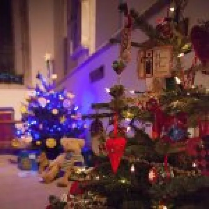 Christmas Tree Festival 07