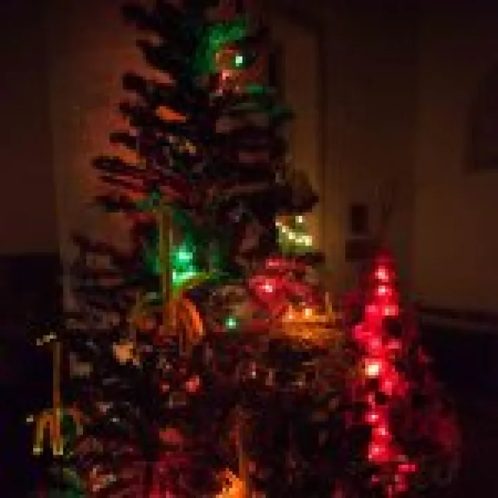 Christmas Tree Festival 12