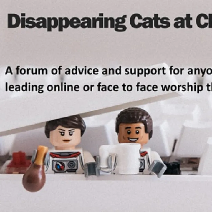 Disappearing Cats