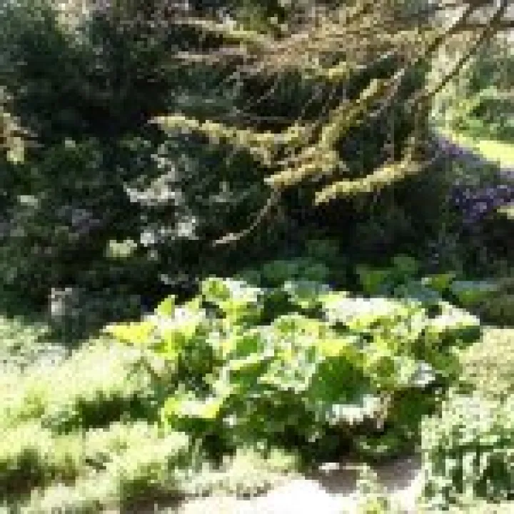 Lyme Park 002